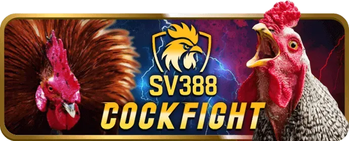 Những lợi ích độc quyền của thành viên VIP 789club